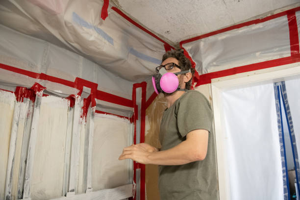 Reliable Upton, WY Mold Removal Solutions