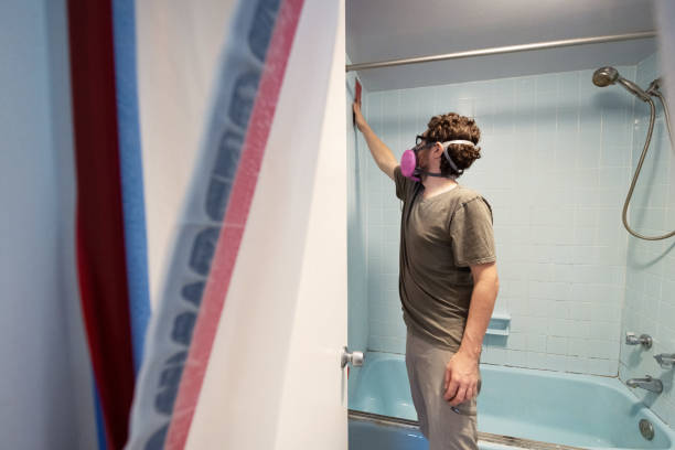Best Dehumidification Services  in Upton, WY