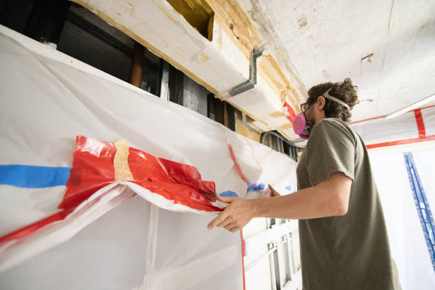 Best Black Mold Removal  in Upton, WY