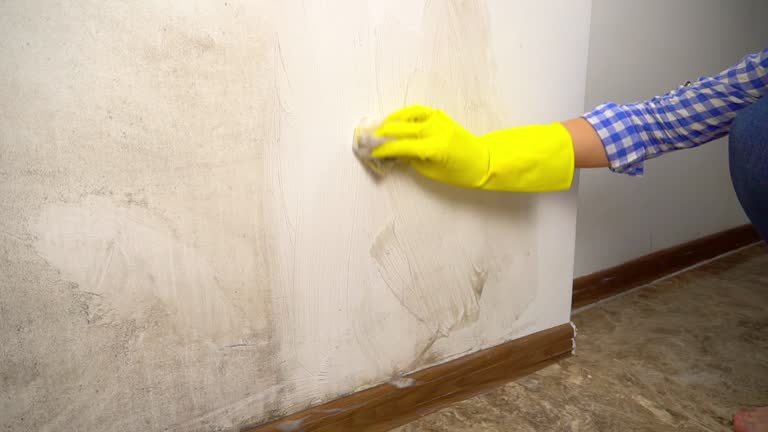 Best Biohazard Mold Removal  in Upton, WY