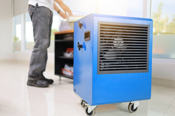Best Mold Odor Removal Services  in Upton, WY