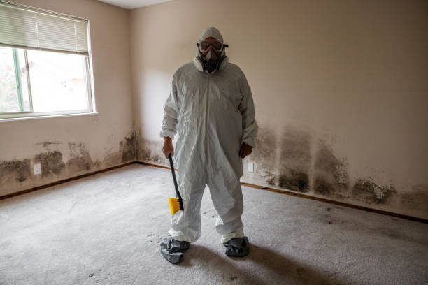 Best Emergency Mold Remediation  in Upton, WY